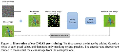 Denoising Masked AutoEncoders Help Robust Classification | Papers With Code