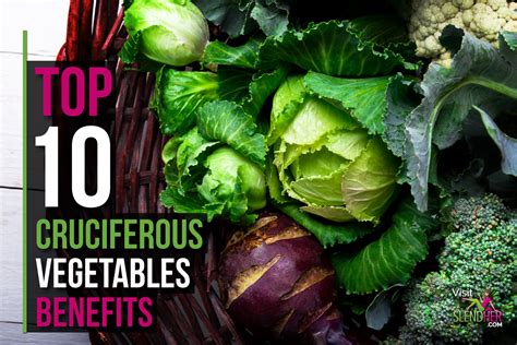 Top 10 Cruciferous Vegetables Benefits - SlendHer