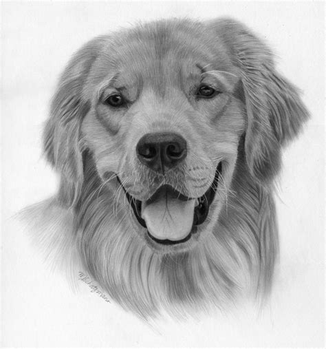 A realistic pencil drawing is a drawing that looks real Realistic Sketch, Realistic Pencil ...