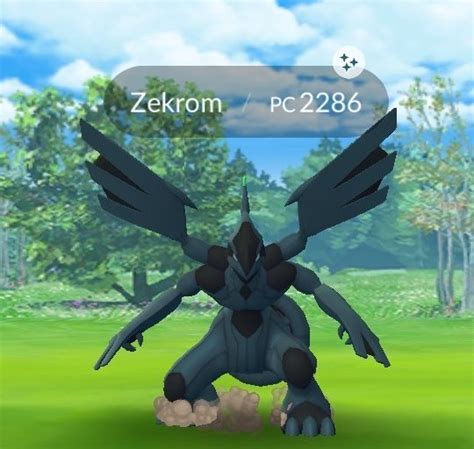 How to get a shiny Zekrom in Pokemon Go - WIN.gg