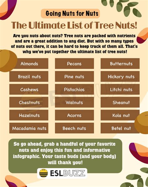 The Ultimate Guide to Nuts: A List of Tree Nuts and Their Health ...