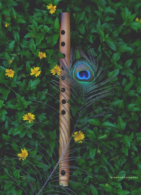 Peacock Feather Wallpaper Hd : Peacock Hd Wallpapers Feathers Feather ...