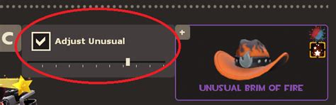 [TF2] Checking the "Adjust Unusual" box will cause visual issues or lag ...