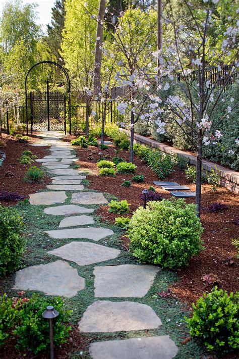 Plants for stepping stone paths – Artofit