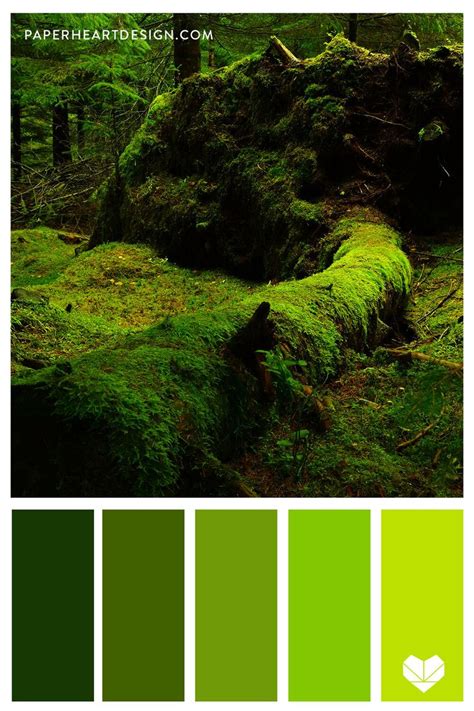 Gorgeous Green Moss Color Palette