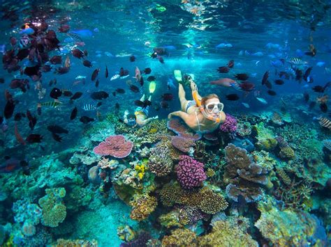 Tour sur l'île de Pele - Excursion - Efate - Vanuatu - Pacifique à la carte