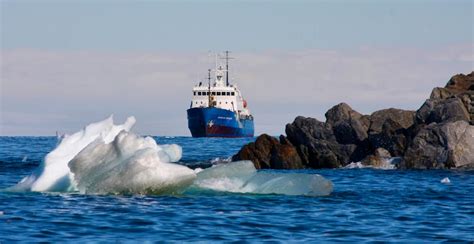 Akademik Shokalskiy | Antarctic Ship | Reviews from Swoop