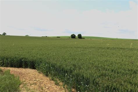 Arable land © Graham Robson cc-by-sa/2.0 :: Geograph Britain and Ireland