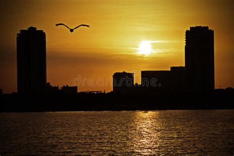 St. Petersburg, FL Sunset stock photo. Image of clouds - 29149790