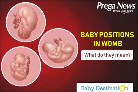 Baby Positions In Womb. What Do They Mean?