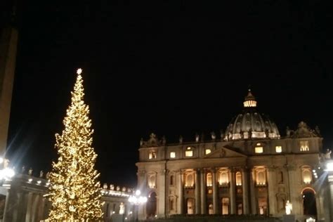 Pope Francis explains symbolism of Vatican Christmas tree and sand nativity | Catholic News Agency