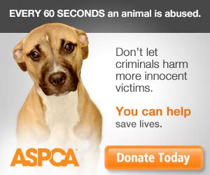 Donate Ad - Fight Cruelty