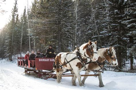 Winter Sleigh Rides | Activities And Entertainment| Boundary Ranch