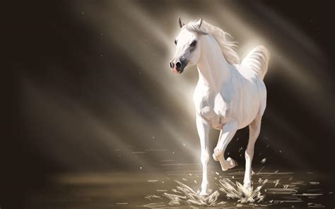 White horse running in the water HD desktop wallpaper : Widescreen : High Definition : Fullscreen