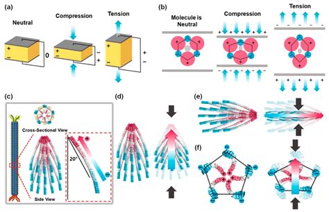 Piezoelectric Crystal Structure