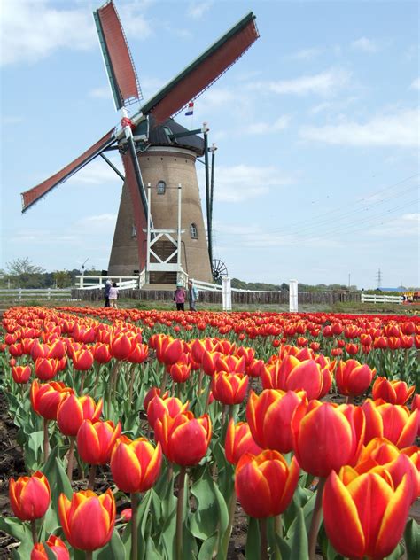 List of windmills - Wikipedia, the free encyclopedia | Windmills | Pinterest | Windmill, Holland ...