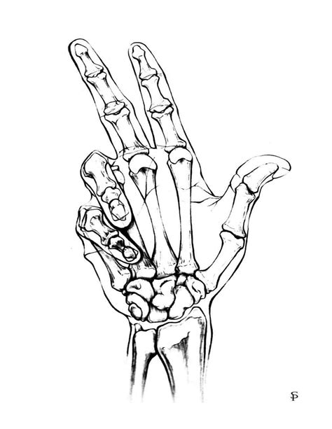 Skeleton Hands Drawing at GetDrawings | Free download