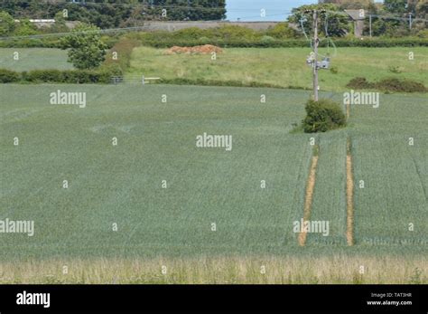 river medina Isle of Wight Stock Photo - Alamy