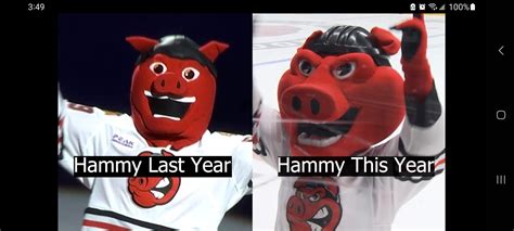 [AHL] The Rockford IceHogs redesigned Hammy Hogs head again after the ...