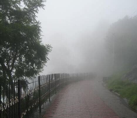 Visiting Assam in Winters - Know Temperature and Weather Info of Assam in Winters