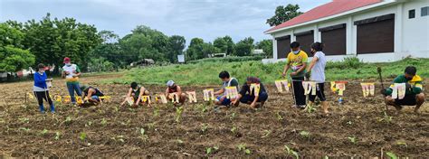 Some 200 officials and... - Mariano Marcos State University | Facebook