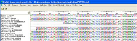 2: A nucleotide sequence alignment visualized in BioEdit. | Download Scientific Diagram