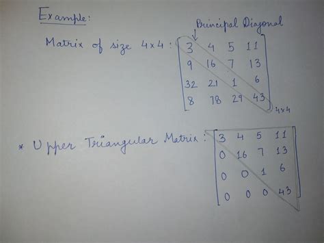 Print or Display the upper triangular matrix in Python - CodeSpeedy