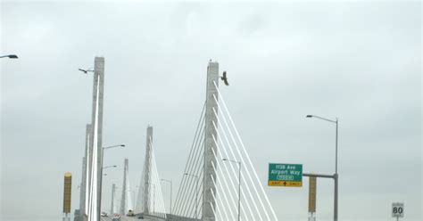 Bridge of the Week: Cable-Stayed Bridges - Golden Ears Bridge (3)