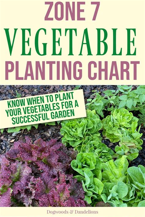 Zone 7 Vegetable Planting Chart | Planting vegetables, Vegetable planting guide, Spring ...