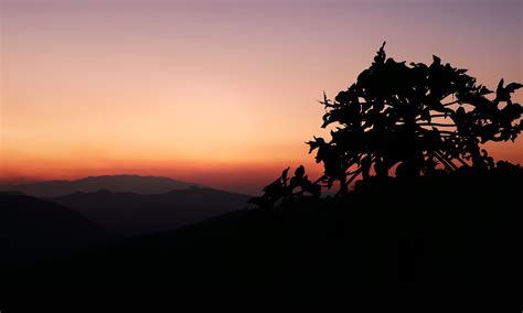 Landscape,sunset,silhouette,tree,horizon - free image from needpix.com