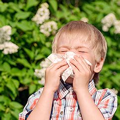 Food Allergies in Children | HowStuffWorks