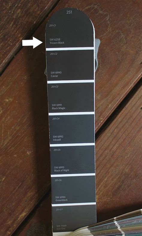 Sherwin Williams Tricorn Black: Should You Pick This Paint? - Posh Pennies