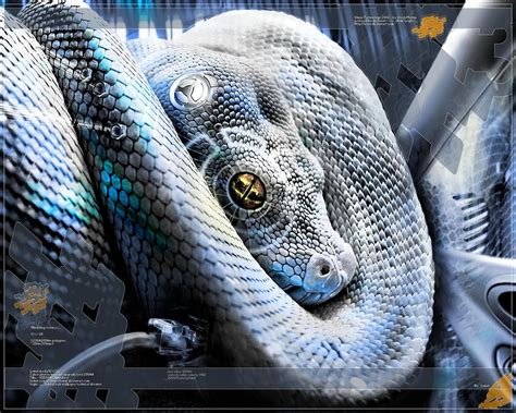 Download Python Snake Silver Sci Fi Animal HD Wallpaper by lemut