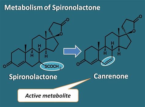 Spironolactone – Mechanism, side effects, interactions and precautions