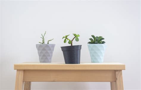 The Little Leaning Plant Pot by Tmpx64 | Download free STL model | Printables.com