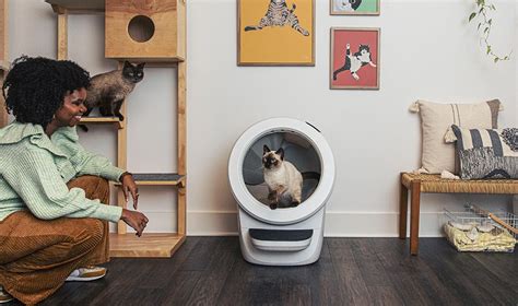 Explore Litter-Robot 4 | Smart Self-Cleaning Litter Box