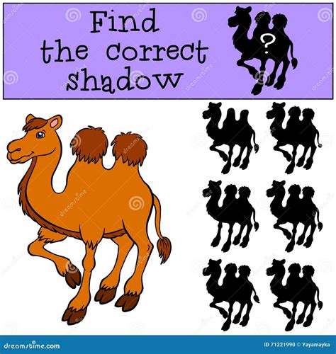 Children Games: Find the Correct Shadow. Cute Camel. Stock Vector - Illustration of answer ...