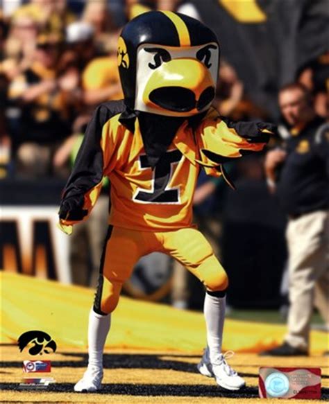 Herky the Hawk, the University of Iowa Hawkeyes Mascot Fine Art Print by Unknown at ...