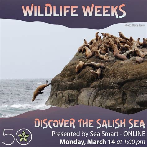 Discover the Salish Sea – Wildlife Weeks with the Ecology Centre - GlobalNews Events