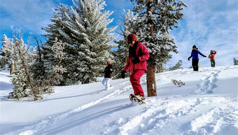 Tahoe Snowshoe Galleries - Lake Tahoe Snowshoe Tours