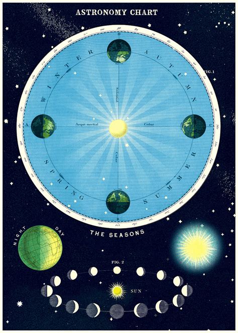 Cavallini Poster/Gift Wrap - Astronomy Chart - Bobangles