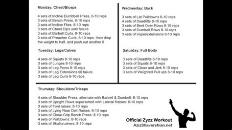 What do you guys think of Zyzz’s official workout for somebody who ...