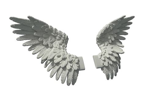 Wings 3D Model - 3DHunt.co