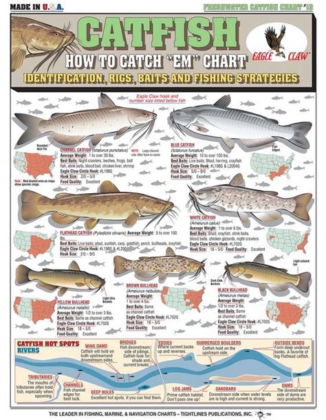 How To Catch "EM" Chart? #bait #fishing #kayakfishing #fishinglures | Catfish fishing, Fishing ...