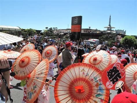 cherry blossom festival, japantown, san francisco Favorite City, Favorite Places, Spring Event ...