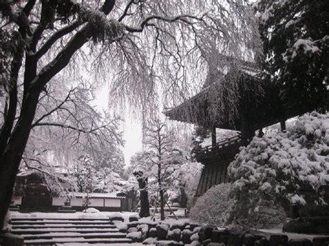 Winter Japanese Garden Wallpapers - Top Free Winter Japanese Garden ...