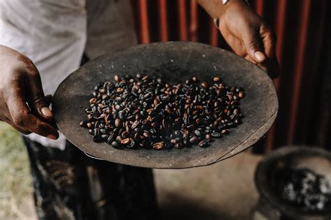 Ethiopia, the Birthplace of Coffee, Still Produces Highly Desirable Beans