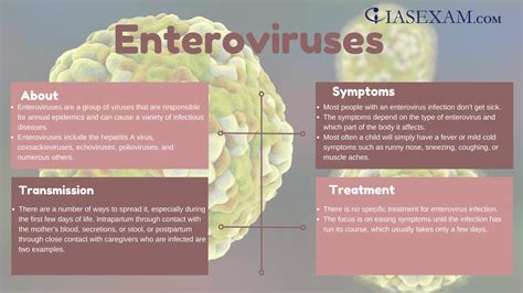 Enteroviruses - IAS EXAM