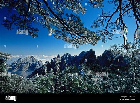 Winter at Huangshan National Park (Yellow Mountain), Anhui Province, China Stock Photo - Alamy