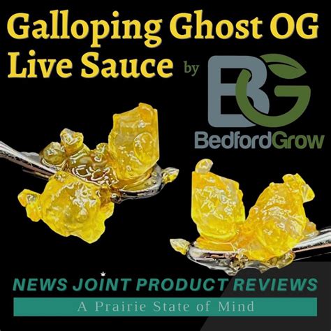 Galloping Ghost OG strain review Archives - Illinois News Joint